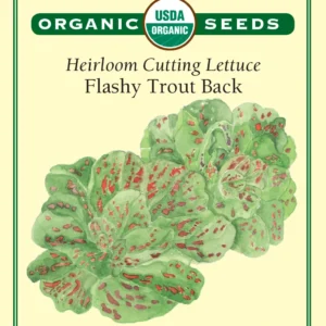Flashy Trout Back Lettuce
