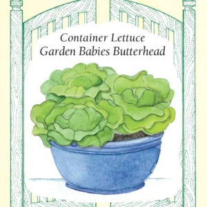 Garden Babies Butterhead