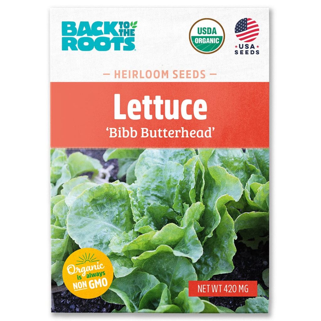 Bibb Butterhead Lettuce