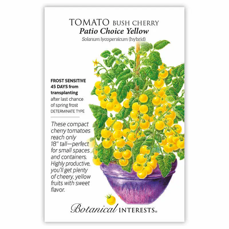 Patio choice cherry tomato