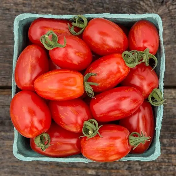 Supernova grape tomato