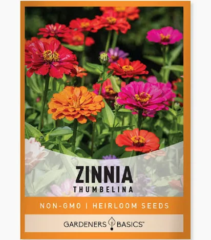 Thumbelina Zinnia