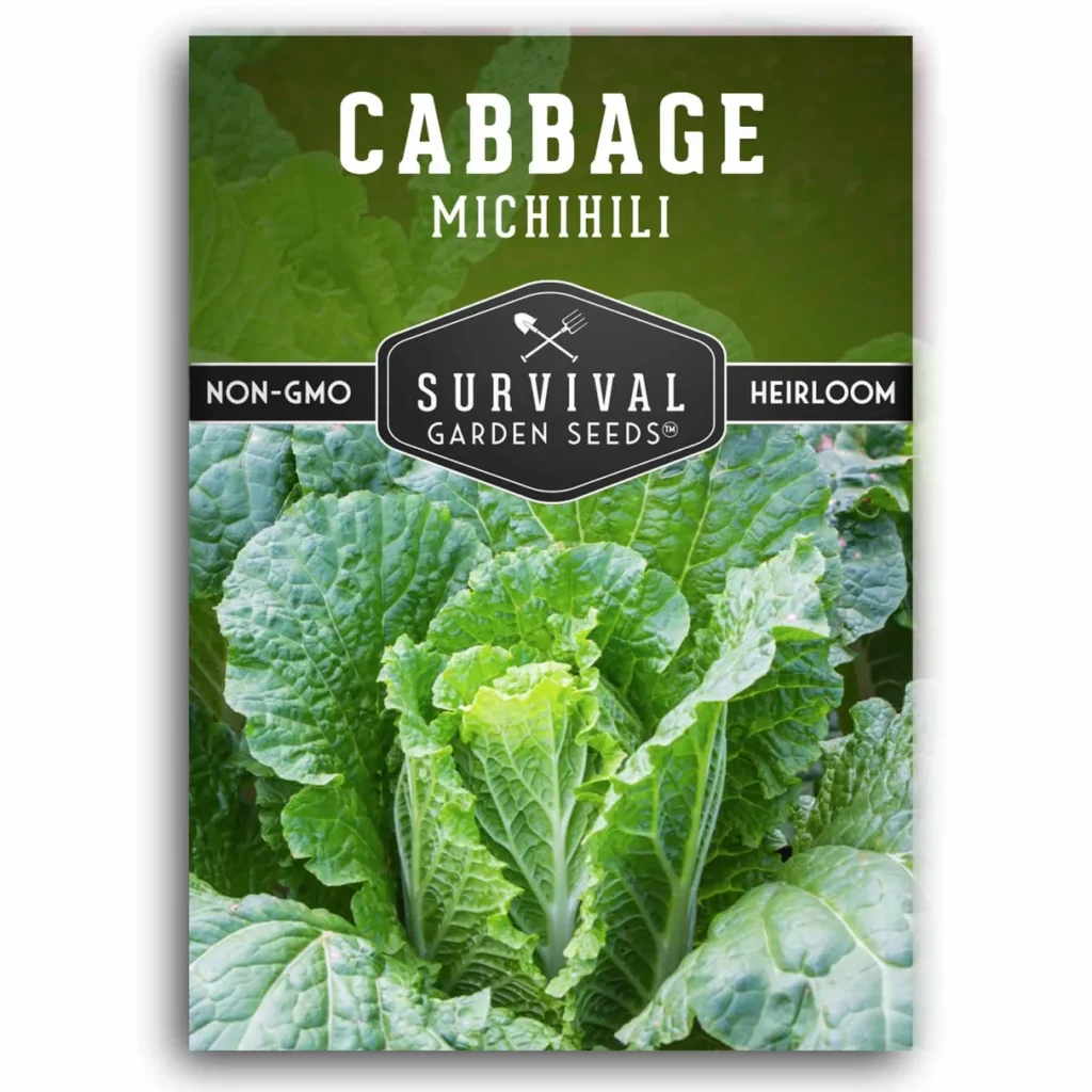 Michihili Cabbage